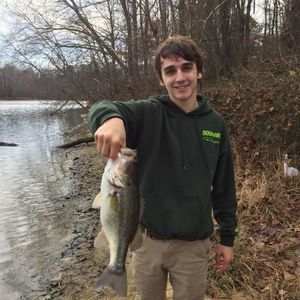 Meet your Posher, Thomas